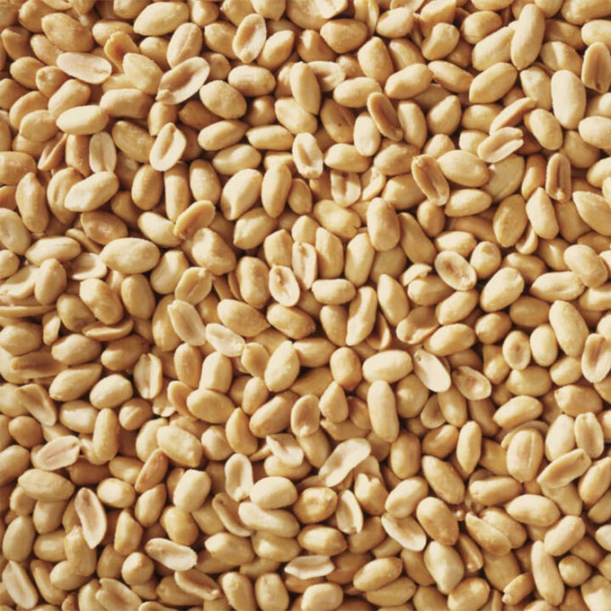 Happy Wings shelled peanuts seeds wild bird food, 5 pounds, no grow seed, bird seed for year-round feeding