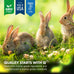 HealthyGut Probiotics for Rabbits 120 servings all-natural digestive system formula with 15 species of probiotic organisms