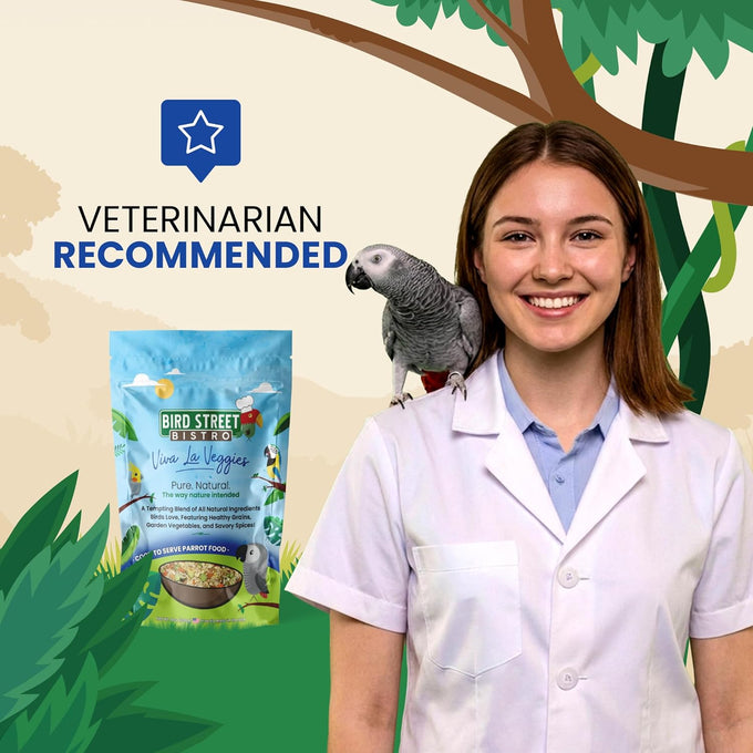 Bird Street Bistro parrot food with natural grains, legumes, and non-gmo fruits for parakeets and cockatiels