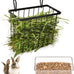 sangle sophfy rabbit hay feeder small animal feeding set with 350ml water bottle