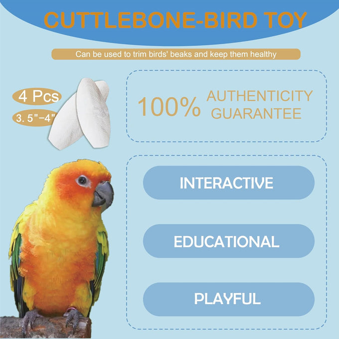 jmxu 3.5-4 cuttlebone for parakeets birds calcium supplement natural chew toys
