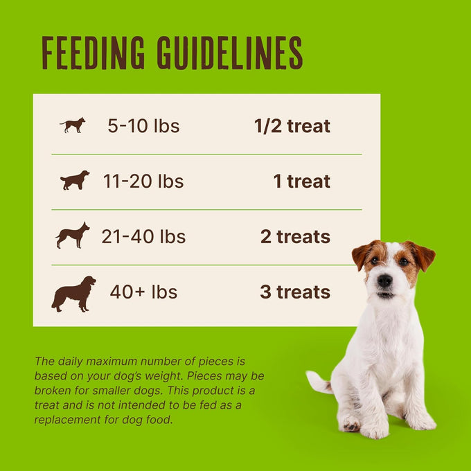 Waggin' Train Chicken Jerky Dog Treats, Made with 100% Real Chicken Breasts, 2 All-Natural Ingredients, High Protein, Easily Digestible for Big or Small Dogs