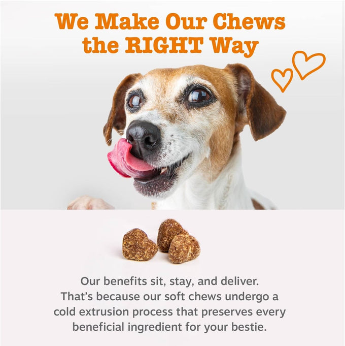 Zesty Paws Senior Dog Multivitamin Treats - Grain Free, Glucosamine for Dogs, Digestive Enzymes, Probiotics, and Skin & Coat Suppliments - Beef - Advanced - 90ct