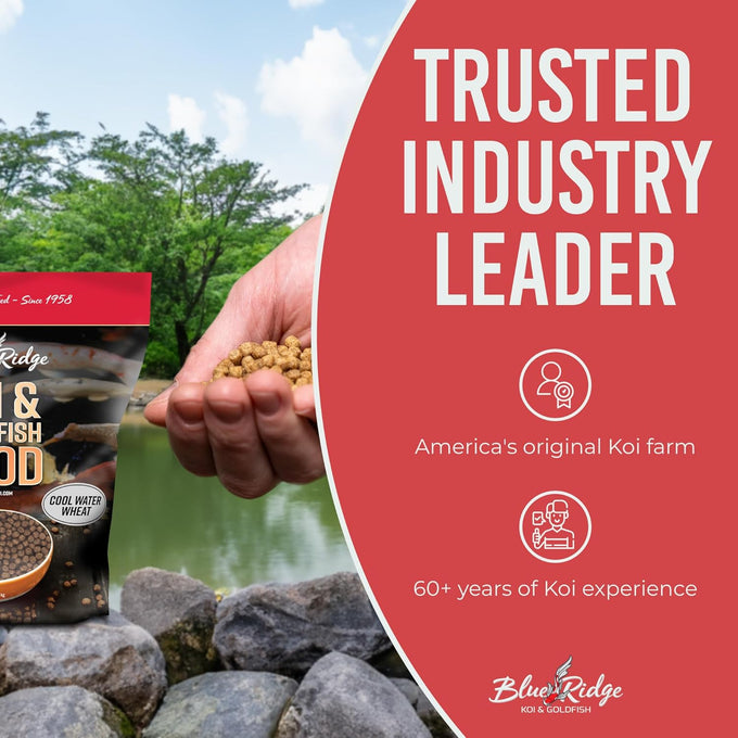 Blue Ridge Cool Water Wheat 3/16" Koi Fish Food 5lb - Fall and Winter Floating Pellets for Ponds