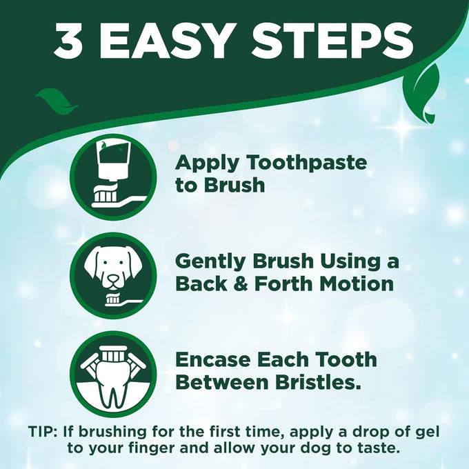 Vet's Best dog toothpaste and toothbrush kit with triple head toothbrush, natural flavors, and aloe for healthy gums and fresh breath