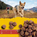 Zuke's Mini Naturals, 16 oz Resealable Pouch, Dog Training Treats with Real Salmon for Small to Large Dogs