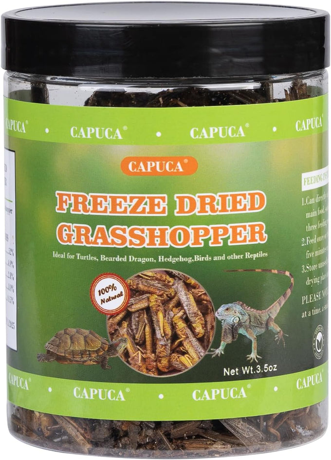 Dried River Fish Minnows - High Protein Natural Food for Turtles, Bearded Dragons, Cats & Tropical Fish (5.5oz)