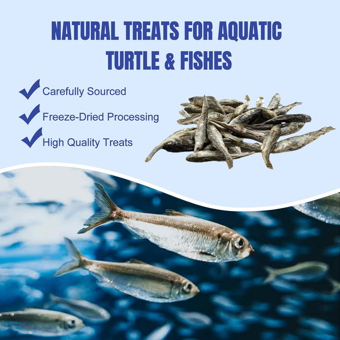 Amzey 2.3 oz dried whole river fish for turtles, terrapins, reptiles, and large tropical fish - natural and healthy