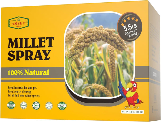 amzey 5.5lb non-gmo natural sun-dried spray millet for parakeets and parrots