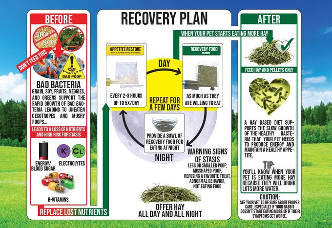Sherwood Pet Health Rabbit Emergency Kit and Bulk Recovery Food (800 Grams) with Complete Care Essentials