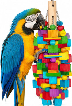 Natural Wood XL Parrot Toy, 20 in Stainless Steel Chain Hanging for Macaws, Cockatoos, African Greys, and Large Parrots