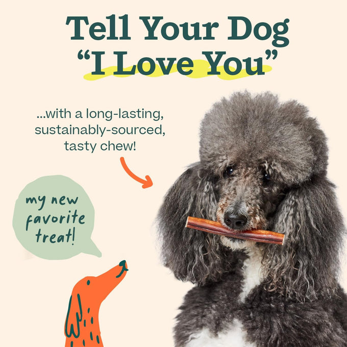 woof bully sticks made with free-range grass-fed beef 6 inch sticks 10pk