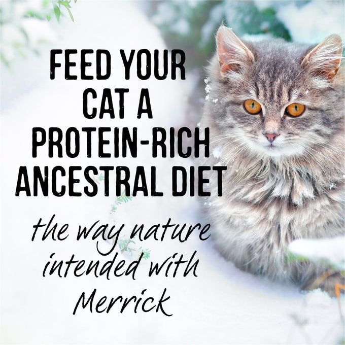 Merrick Backcountry grain free beef recipe morsels in gravy, 24 pouches, 3 oz each, high protein wet cat food