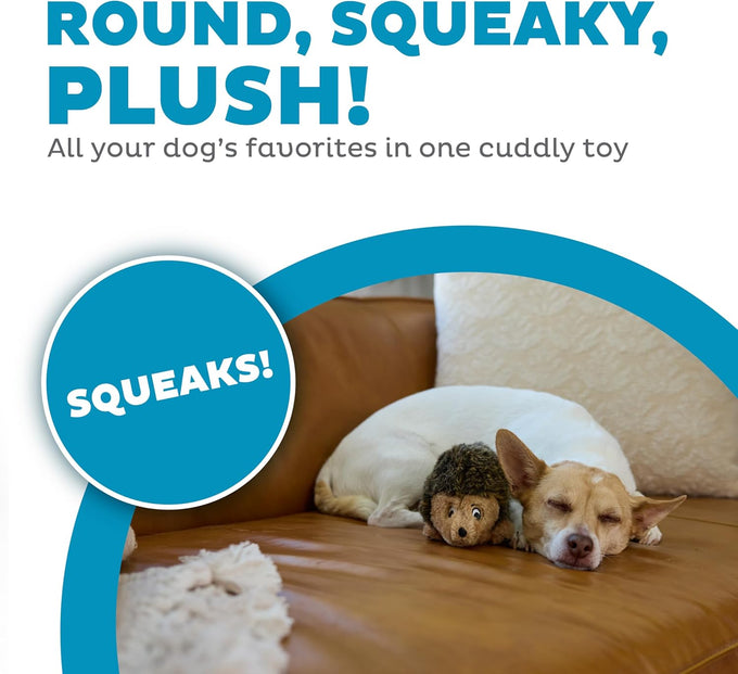 Outward Hound Hedgehogz Soft Plush Hedgehog Squeaks Dog Toy 6" x 4" x 4.5" available in multiple sizes
