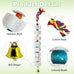 lava calcium bird beak grinding stone with bell hanging parakeet cage accessories for parrot budgies hamster