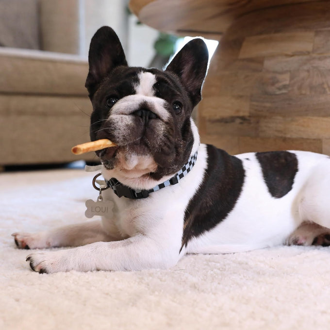 Wild Eats Collagen Real Salmon Bully Sticks for Dogs 25ct, Long Lasting Grain Free High Protein Dog Chews