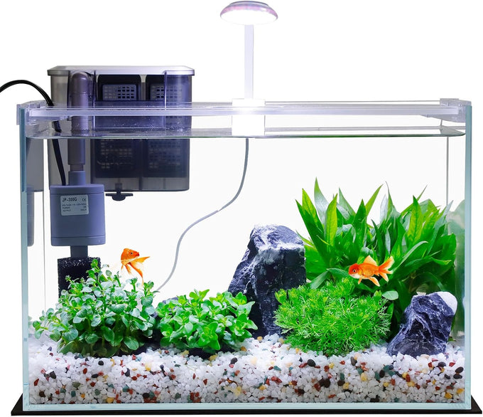 3-gallon glass small fish tank starter kit with high-efficiency filter and led lights lid