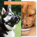 Barkless dog muzzle for biting, chewing and scavenging, humane cage mouth cover for medium aggressive reactive dogs, black, medium