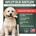 Mountain Valley Grade A Whole Large Elk Dog Antlers, 100% Natural & Organic, No Odor, No Mess, Long Lasting