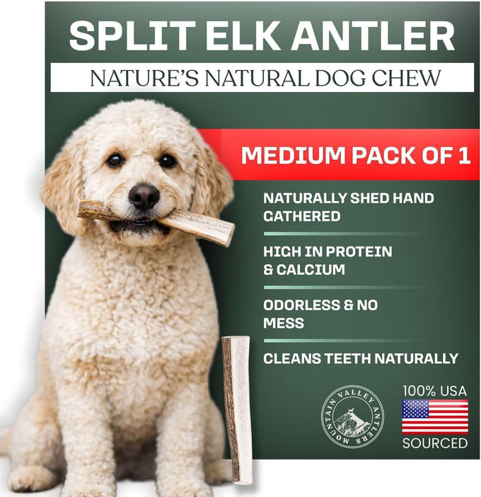Mountain Valley elk antlers for dogs - 100% natural & organic chews, no odor, no mess, long lasting, grade A, large size