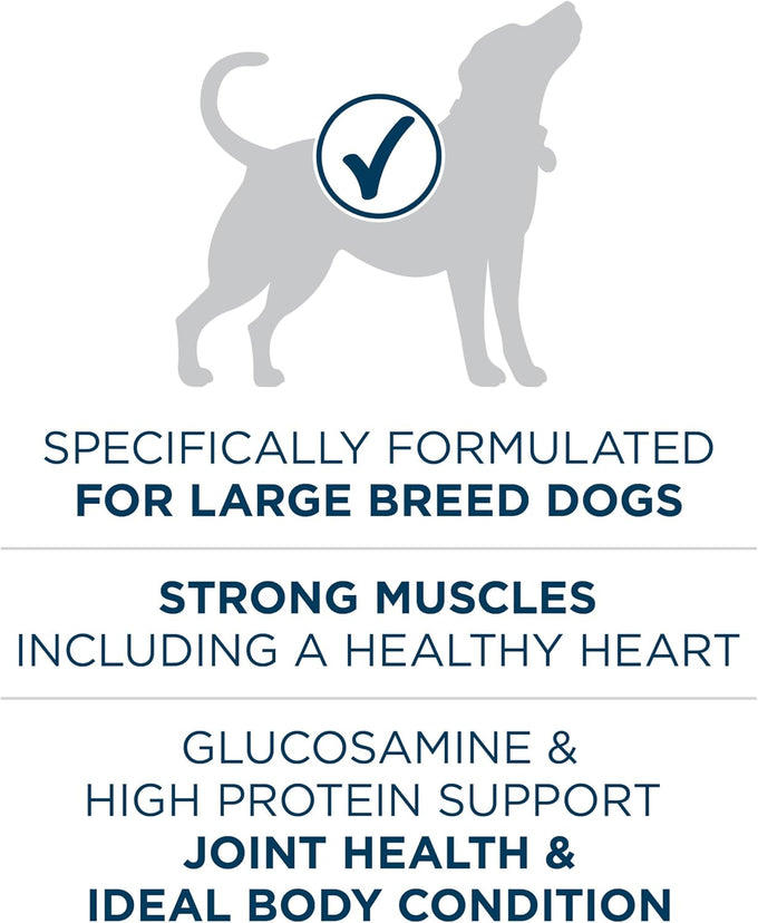 Purina ONE Plus Large Breed Adult Dog Food - 40 lb Bag