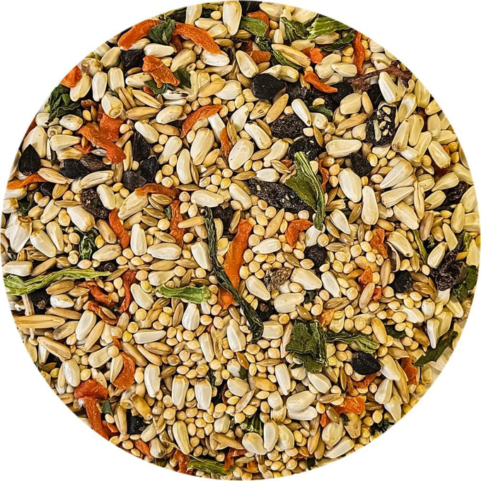 Cockatiel bird food seed mix, 4 lbs, no sunflower seeds, triple cleaned, nitrogen flushed