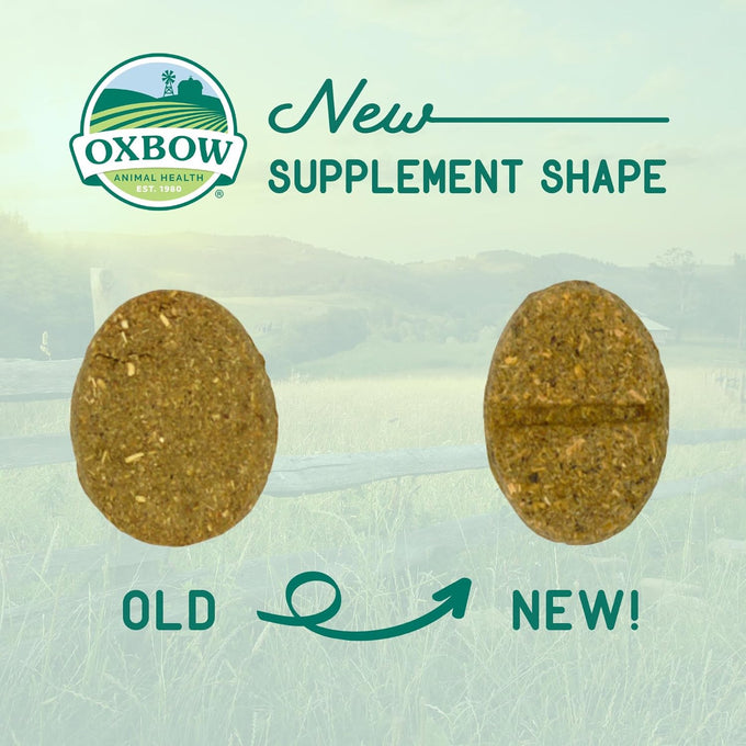 Oxbow Timothy Hay Joint Support Supplement for Rabbits & Guinea Pigs, Made with Glucosamine & Turmeric, 4.2 oz