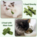 30g cat grass sticks for cats, delicious edible chew toy treats for teeth cleaning and hairball removal