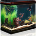 5-gallon glass aquarium starter kit for betta, shrimp, guppy, jellyfish, goldfish and beta with self-cleaning pump and 3-color light