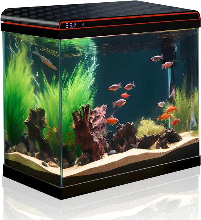 5-gallon glass aquarium starter kit for betta, shrimp, guppy, jellyfish, goldfish and beta with self-cleaning pump and 3-color light