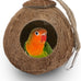 Hypeety coconut shell bird breeding nest toy with ladder and swing for parrot, parakeet, finch, hamster and lovebird