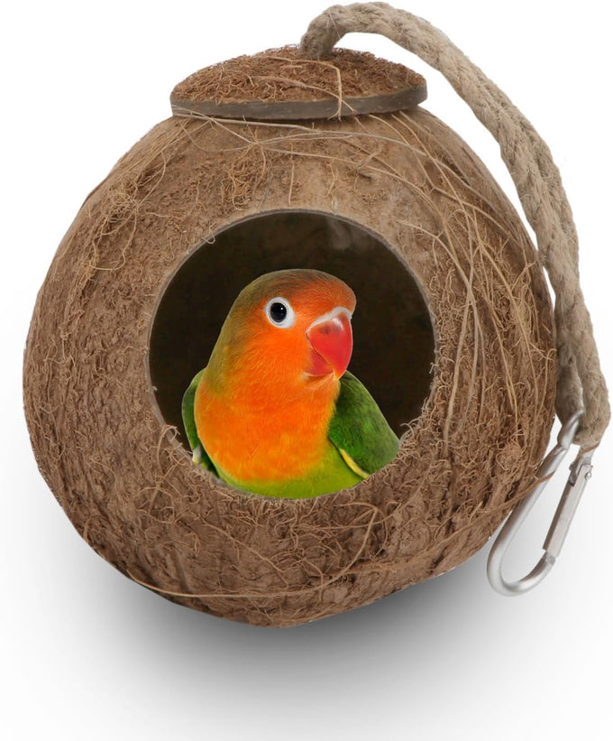 Hypeety coconut shell bird breeding nest toy with ladder and swing for parrot, parakeet, finch, hamster and lovebird