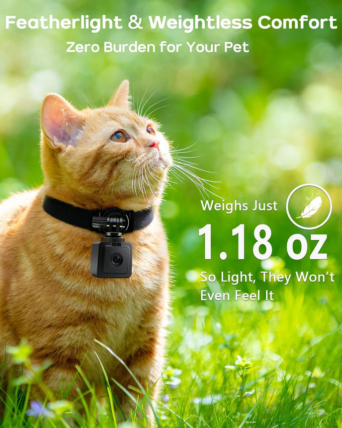 aez pet camera collar with app control, 1080p hd pet pov camera for cats dogs kids outdoor use