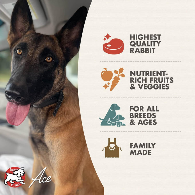 Fromm Four-Star Nutritionals Hasen Duckenpfeffer Dog Food - Premium Dry Dog Food with Rabbit Recipe - 4lb Bag