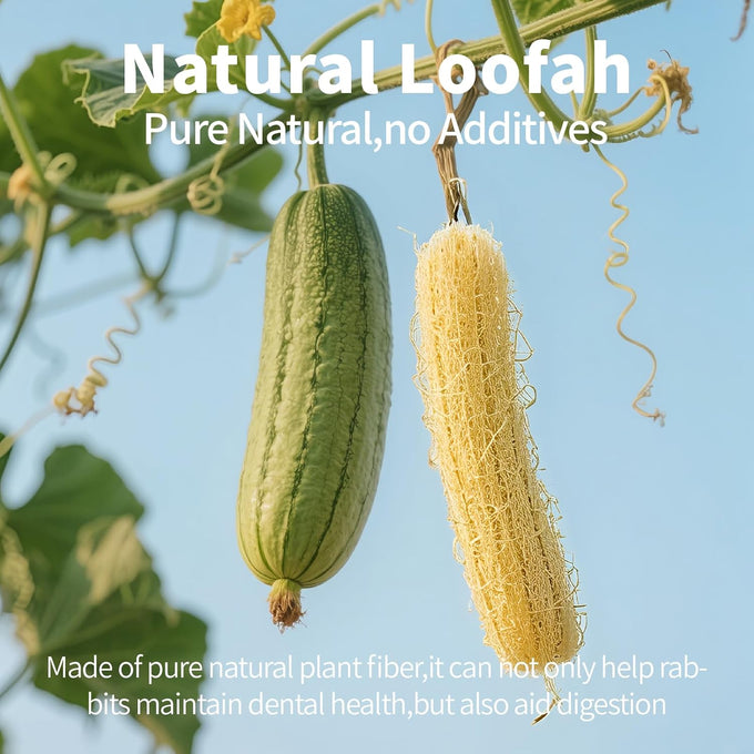 besnew natural loofah rabbit chew toys 100% edible for teeth health