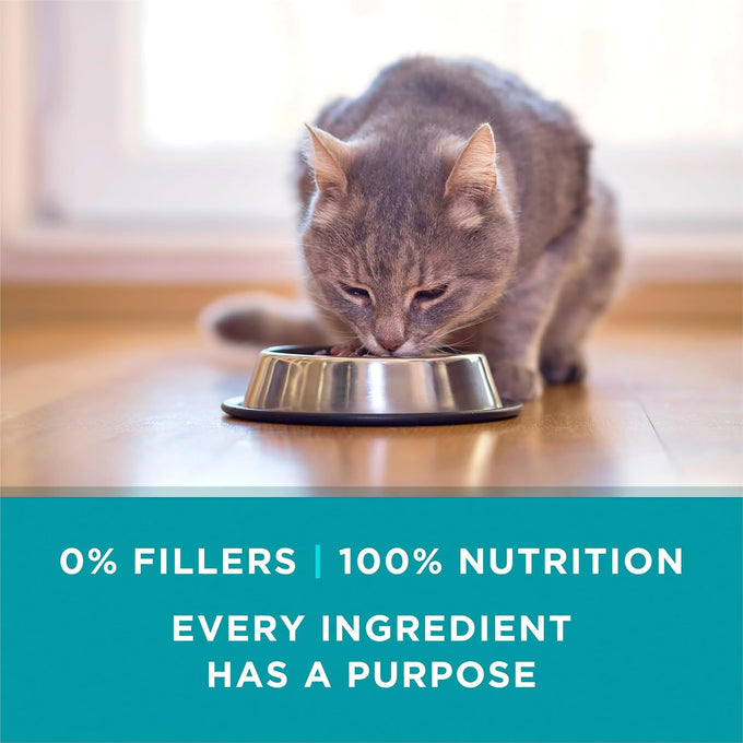 Purina ONE Natural, High Protein Cat Food Variety Pack, Turkey, Chicken and Tuna Recipes - (2 Packs of 12) 3 oz. Cans