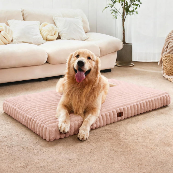 large dog beds with orthopedic support, waterproof lining, and plush surface
