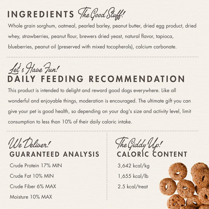 Fromm Crunchy Os Peanut Butter Jammers Dog Treats, Premium Crunchy Dog Treats with Peanut Butter