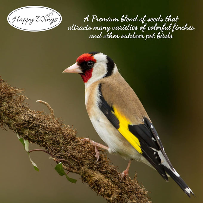 Happy Wings Finch Blend Bird Food, 5 Pounds, Mix of Sunflower Hearts/Kernels and Nyjer, No Grow Seed for Wild Birds