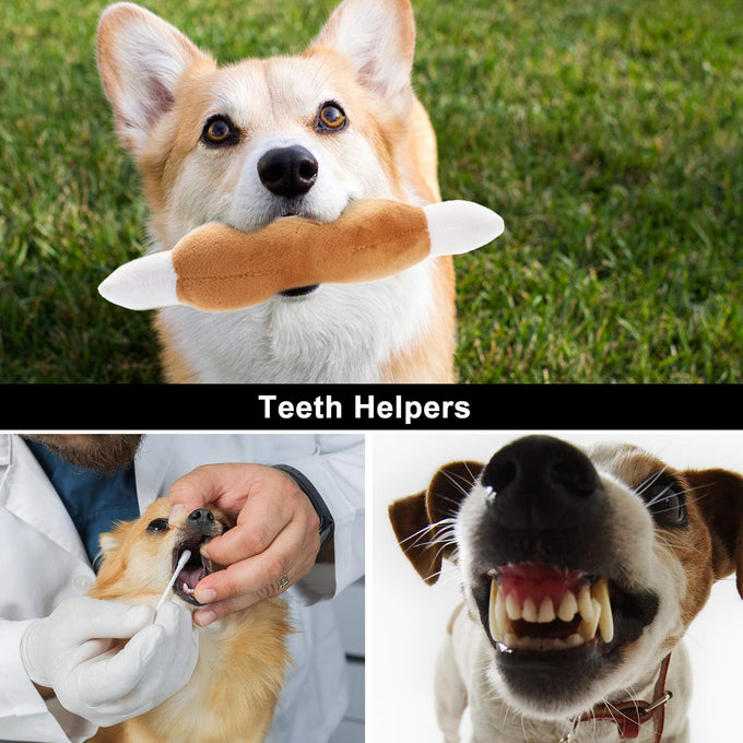 nocciola dog squeaky toys, small plush toys with squeakers, 12 pack for small medium size dogs