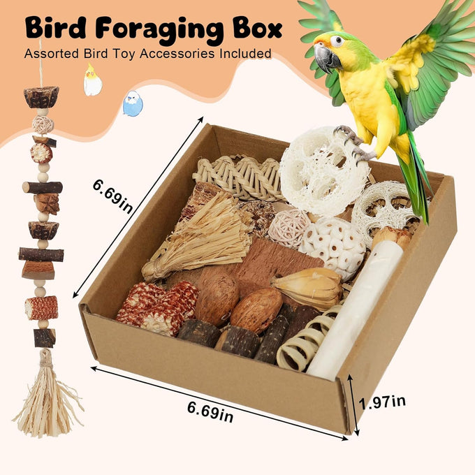 Bird Toys Parrot Natural Foraging Box Medium for Parakeets, Cockatiels, Conures, Small to Medium Birds Cage Accessories