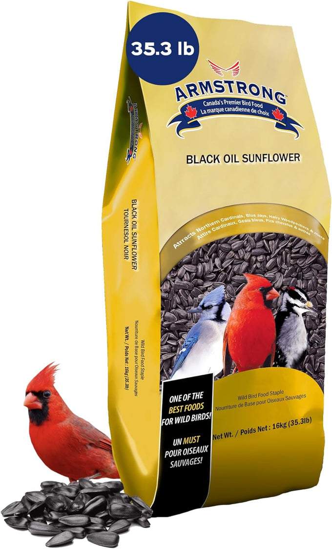 armstrong black oil sunflower bird seed, 35.3 pounds, northern cardinals, blue jays, hairy woodpeckers