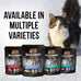 Merrick Backcountry grain free beef recipe morsels in gravy, 24 pouches, 3 oz each, high protein wet cat food