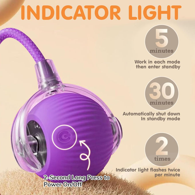 Rocfish Durable Interactive Cat Toy for Indoor Cats, Automatic Chase Ball Toy Purple