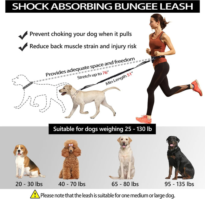 Lanney Hands-Free Dog Leash for Medium Large Dogs with Zipper Dual Handle and Retractable Bungee