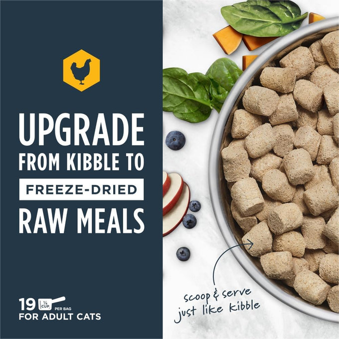 Instinct raw freeze-dried chicken cat food 9.5 oz bag, made in usa with 93% meat and non-gmo fruits