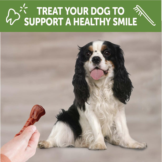 Whimzees Wellness Brushzees Small Size Dog Dental Treats, 24 Count, 12.7 oz Bag – VOHC Accepted Chews for Fresher Breath, Plaque & Tartar Reduction, and Gum Health.