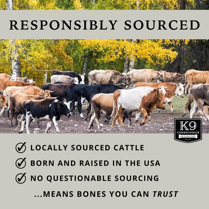K9 Connoisseur beef lung treats, all natural, lean, grain free, bulk, USA made, single ingredient, for all breeds and sizes, 2.5 lbs
