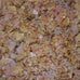 API Tropical Flakes Fish Food, .36-Ounce Container for Tropical Community Fish