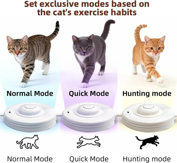interactive cat toys with butterflies feathers realistic sounds touch-activated rechargeable for bored adult cats home alone